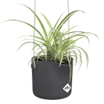 b.for swing 18cm anthracite